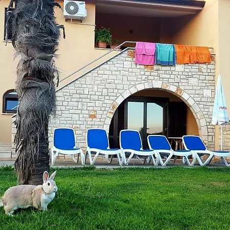 Marina Tatil Evi